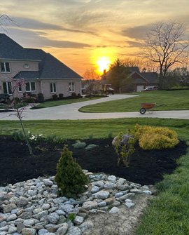 Professional Tree Removal Tips