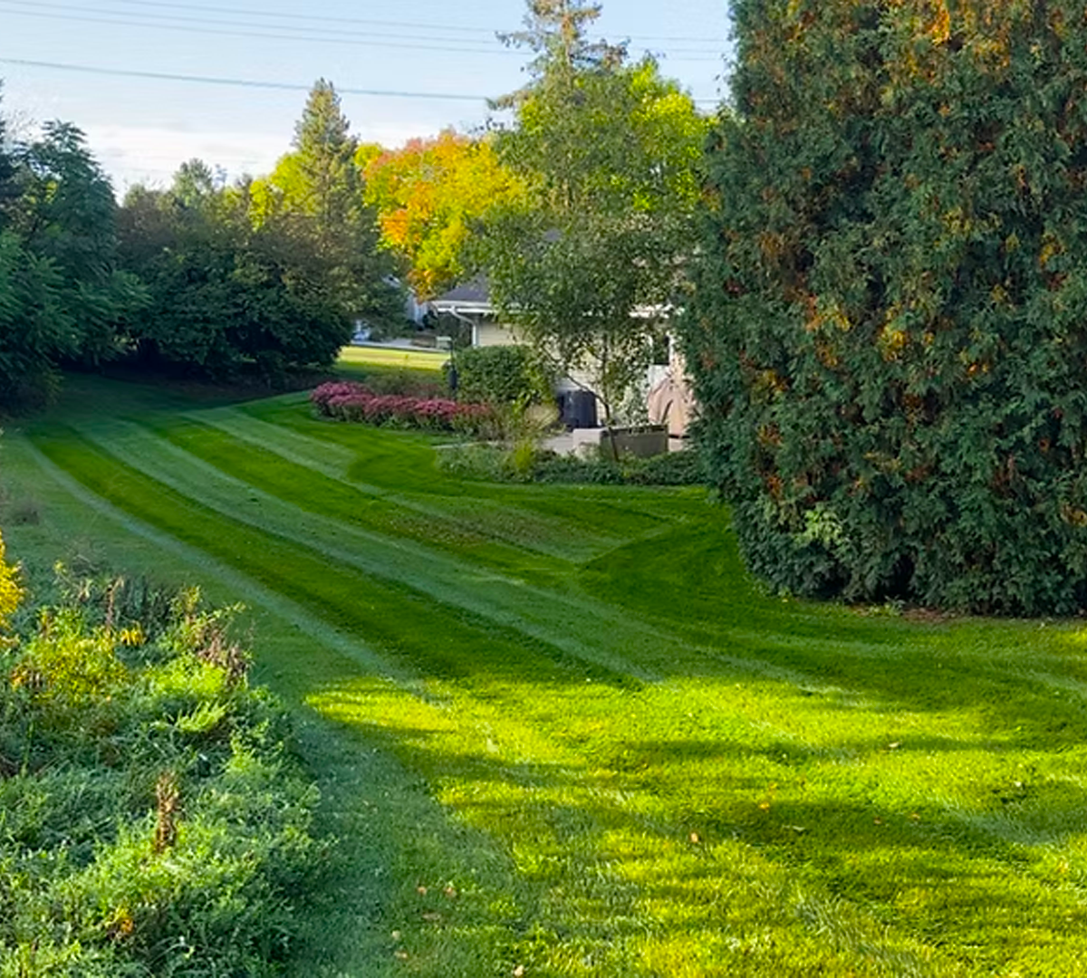 Comprehensive Outdoor Property Services